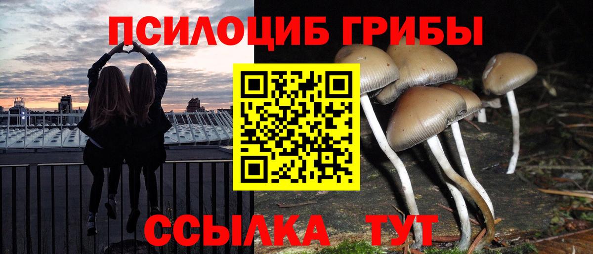 Галлюциногенные грибы Psilocybine cubensis  Псилоцибиновые грибы Magic Shrooms  Чусовой  Вход с VPN 