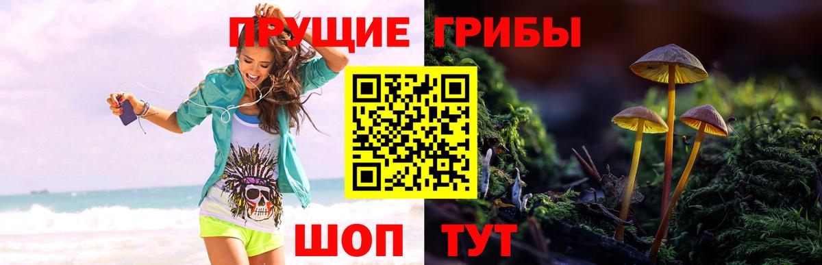 Галлюциногенные грибы мухоморы Чусовой